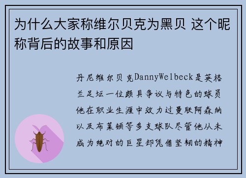 为什么大家称维尔贝克为黑贝 这个昵称背后的故事和原因