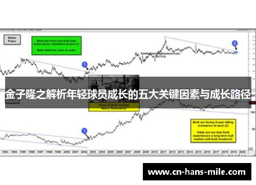 金子隆之解析年轻球员成长的五大关键因素与成长路径