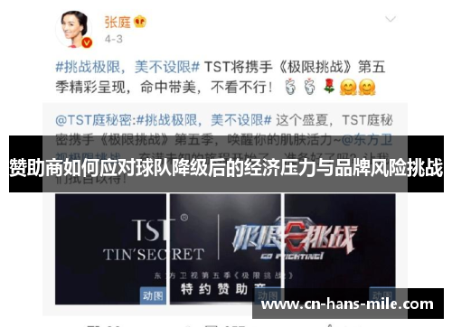 赞助商如何应对球队降级后的经济压力与品牌风险挑战