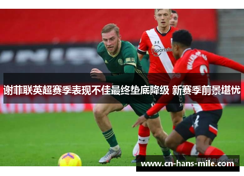 谢菲联英超赛季表现不佳最终垫底降级 新赛季前景堪忧
