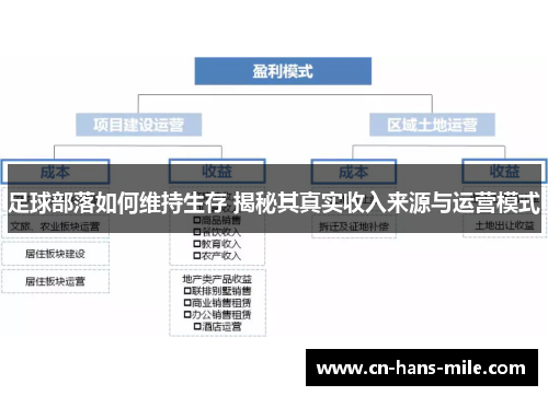 足球部落如何维持生存 揭秘其真实收入来源与运营模式