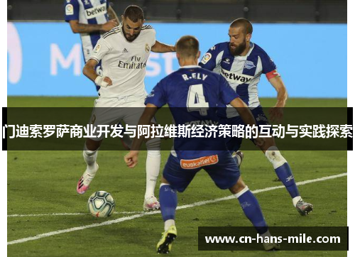 门迪索罗萨商业开发与阿拉维斯经济策略的互动与实践探索